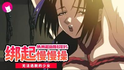 月花美人2的封面图