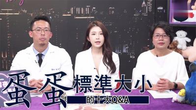 蛋蛋十大QA标准大小的封面图